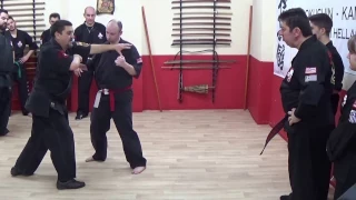 SGM Garcia Kajukenbo seminar in Greece 2017