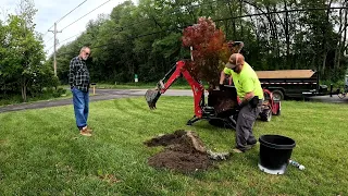 Digging and Planting