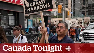 Mercury poisoning is worsening in Ontario's Grassy Narrows First Nation: study | Canada Tonight