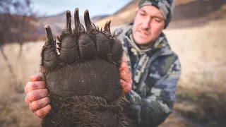 Giants Of Kodiak, An Epic Spot And Stalk Brown Bear Hunt