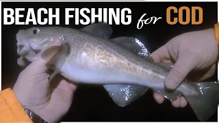 Cod Fishing from the Beach at Night - Sea Fishing UK Shore Sea Fishing UK