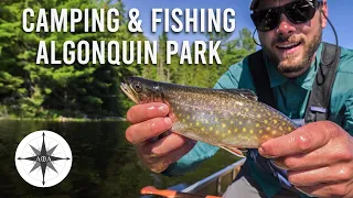 Algonquin Park 5 Day Solo Canoe Camping | Part 1 | Catch & Cook Brook Trout