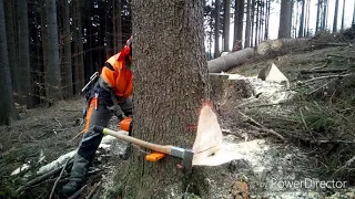 Working in forest, 90-2019, Im wald arbeiten, Práce v lese 🇨🇿