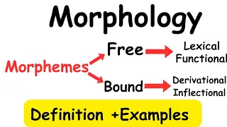 Morphology|Morpheme|Types of morpheme#linguistics