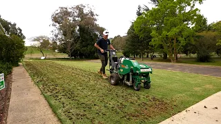 Core Aeration and Scalp on My Lawn (Lawn Renovation Series)