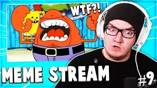 Best Of Mini Ladds MEME STREAM Compilation #9