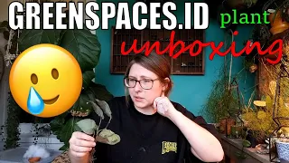 Greenspaces.ID plant unboxing!