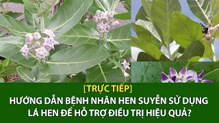 [Trực tiếp] Hướng dẫn bệnh nhân hen suyễn sử dụng lá hen để hỗ trợ điều trị hiệu quả? | VTC16