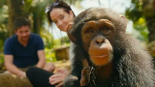 Undercover Team Rescue a Baby Chimp From The Pet Trade | BBC Earth