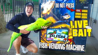 Buying LIVE MORAY EEL From the LIVE FISH VENDING MACHINE... *Do Not Press*