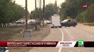 Deputies shoot, kill suspect accused of stabbing K9 in the face, San Joaquin Sheriff’s Office says