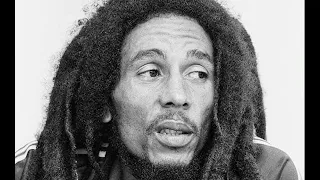 Bob Marley "Zion Train" Live 80 HD !!