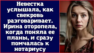 Невестка услышала, как свекровь разговаривает. Ирина оторопела, когда поняла ее планы