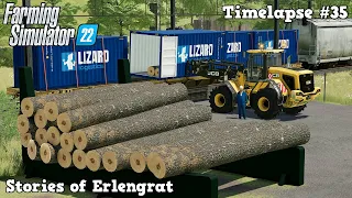 Selling LOGS in SHIPPING CONTAINERS for big 💰💸 | Erlengrat | FS22 Platinum Expansion | Timelapse #35