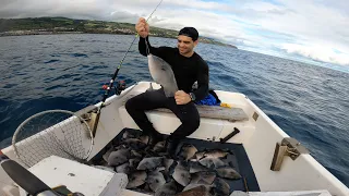 Pesca de peixe porco | Grey triggerfish Fishing - São Miguel, Açores (4K UHD)