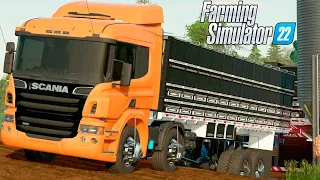 TRANSPORTANDO RAÇÃO PARA PORCOS | Os Guri | Farming Simulator 22 - EP 14