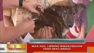 BT: Mga aso, libreng binakunahan para iwas-rabies