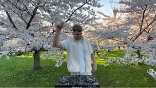 melodic house mix in sakura park