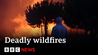 Deadly Mediterranean wildfires kill more than 40 - BBC News