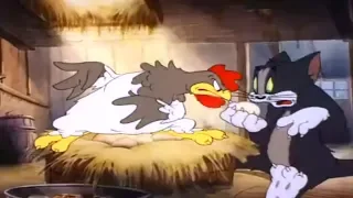 Tom & Jerry - Fine Feathered Friend - Classic Cartoon for kids