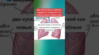 два куска в день и лёгкие забудете о слизи вот что нужно съесть перед сном #здоровье #зож #рецепт