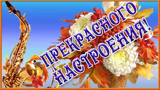 Прекрасному человеку от меня.Тебе для хорошего настроения.  Пожелание хорошего дня и настроения