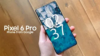 Google Pixel 6 Pro IS HERE!