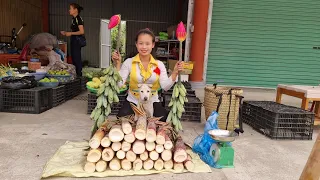 Harvest bamboo shoots and bring them to the market to sell l Lý Thị Sai