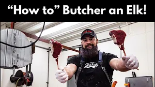 How to Butcher an Elk | Complete Breakdown of all of the Elk Meat | By The Bearded Butchers