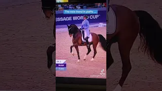 Dressage Disaster: Laurence Roos of Belgian at the Dressage World Cup Qualifiers