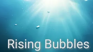 Underwater Footage Of Rising Bubbles! Sea | Free download