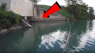 Unexpected Rare Catch at Spillway with Live Goldfish