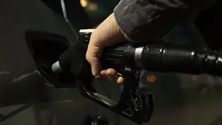 ‘People can’t afford it’: One Nation pushes to lower fuel excise