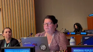 Ingrid Green Statement from the UNPFII