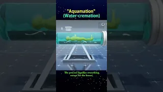 Aquamation or Water cremation #alittleknowledge #shorts