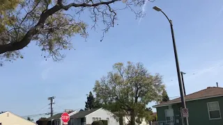 Delta 757-200 landing at LAX