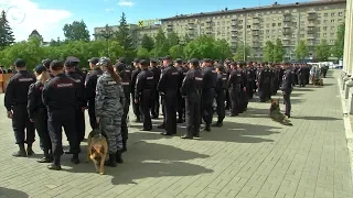 НОВОСТИ 20-30: 19 июня 2019