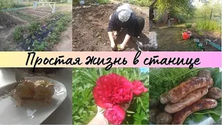 Два дня работы на участке // Простая жизнь в станице // Было и стало // Вкусно и просто //