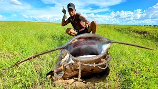 amazing fishing! Big Monster Fish a lots come out under the ground is dry catch by hand in field