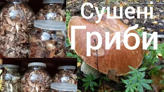 Сушені гриби...mushrooms