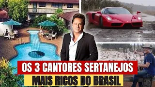 OS 3 CANTORES SERTANEJOS MAIS RICOS DO BRASIL