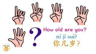 How old are you? 你几岁？& Numbers 数字｜with pinyin拼音标注｜Learn Chinese学中文｜Bilingual中英双语