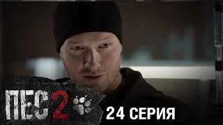 Сериал Пес - 2 сезон - 24 серия - ПРЕМЬЕРА