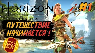 Horizon Forbidden West/Хорайзен Запретный Запад Полное прохождение - Стрим❗