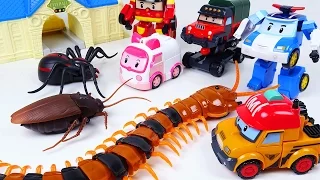 Robocar Poli Transforming Robot Toy VS Giant Spider Bugs - DuDuPopTOY