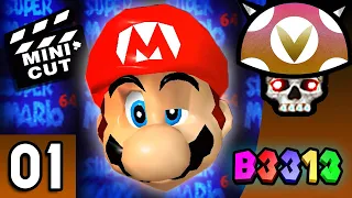 [Vinesauce] Joel - Super Mario 64 B3313 Highlights ( Part 1 )