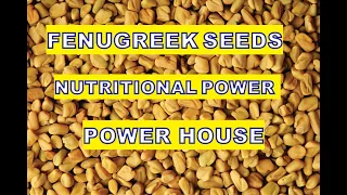 Fenugreek Seeds: Unleashing the Power of a Nutritional Powerhouse