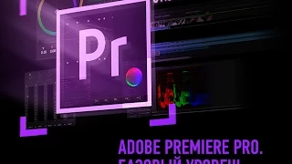 Adobe Premiere Pro. Базовый уровень. Дмитрий Ларионов