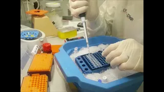 Capped small RNA-seq (csRNA-seq) original method video [updated]