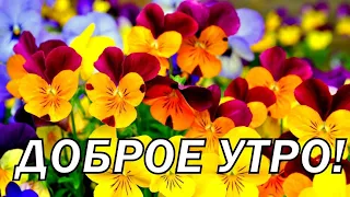 Доброе утро! Пожелание доброго утра.Волшебная Музыка Сергея Чекалина! Добрые пожелания друзьям.